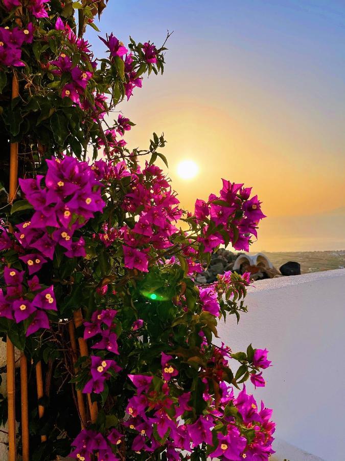 Villa Kastelli88 Santorini Pyrgos Экстерьер фото
